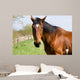 Brown Horse Wall Decal