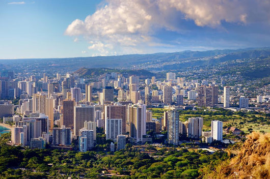 Spectacular view of Honolulu city, Oahu Wall Mural