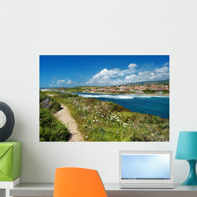 Scenic Landscape Coast Sardinia Wall Decal shown on a wall