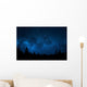 Night Sky with Trees Wall Decal