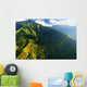 Stunning Aerial Spectacular Jungles Wall Decal
