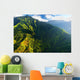 Stunning Aerial Spectacular Jungles Wall Decal