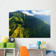 Stunning Aerial Spectacular Jungles Wall Decal
