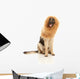 Lion or Dog Wall Decal