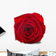 Red Rose Wall Decal