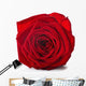 Red Rose Wall Decal
