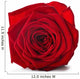Red Rose Wall Decal