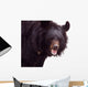 Black Bear Wall Decal