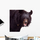 Black Bear Wall Decal