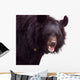 Black Bear Wall Decal