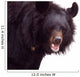 Black Bear Wall Decal