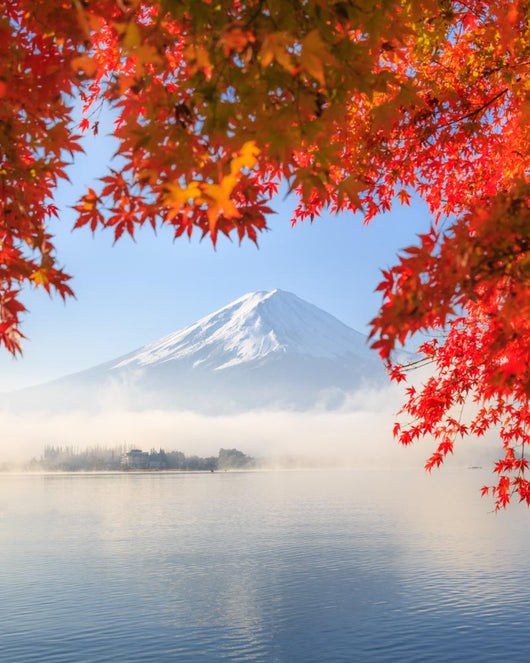 Autumn Season and Mountain Wall Decal