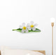 White Frangipani Plumeria Flowers Wall Decal