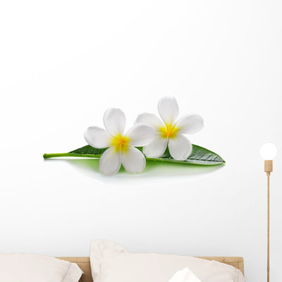 White Frangipani Plumeria Flowers Wall Decal shown on a wall