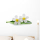 White Frangipani Plumeria Flowers Wall Decal