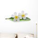 White Frangipani Plumeria Flowers Wall Decal