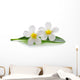 White Frangipani Plumeria Flowers Wall Decal