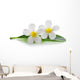 White Frangipani Plumeria Flowers Wall Decal