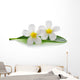 White Frangipani Plumeria Flowers Wall Decal