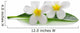 White Frangipani Plumeria Flowers Wall Decal