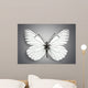 Butterfly. Butterflies Wall Mural