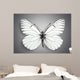 Butterfly. Butterflies Wall Mural