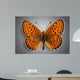 Butterfly. Butterflies Wall Mural