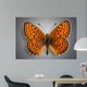 Butterfly. Butterflies Wall Mural