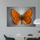 Butterfly. Butterflies Wall Mural