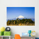 The Blueish Mountain Fuji, Japan Wall Mural