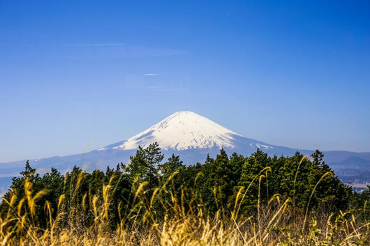 The Blueish Mountain Fuji, Japan Wall Mural