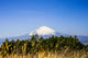 The Blueish Mountain Fuji, Japan Wall Mural