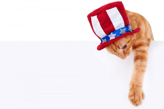 Patriotic Cat Holding up Wall Decal