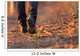 Closeup Woman Legs Hiking Wall Decal