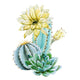 Watercolor Cactus Wall Decal