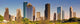 Houston Skyline Wall Decal