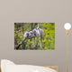 Group Tree Ring-tailed Lemur Wall Decal