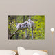 Group Tree Ring-tailed Lemur Wall Decal