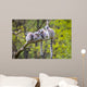 Group Tree Ring-tailed Lemur Wall Decal