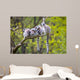 Group Tree Ring-tailed Lemur Wall Decal
