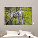 Group Tree Ring-tailed Lemur Wall Decal