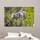 Group Tree Ring-tailed Lemur Wall Decal