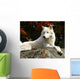 Arctic Wolf Laying Rock Wall Decal