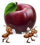 Cartoon Ants Carrying Apple Wall Decal