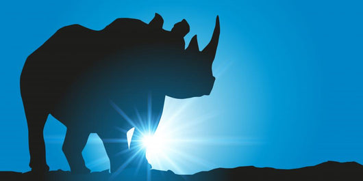 Rhinoceros Wall Mural