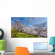 Cherry Blossom Bloom Wall Decal