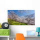Cherry Blossom Bloom Wall Decal