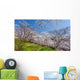 Cherry Blossom Bloom Wall Decal