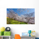 Cherry Blossom Bloom Wall Decal