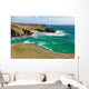 Plage Baluden Belle Ile Wall Decal